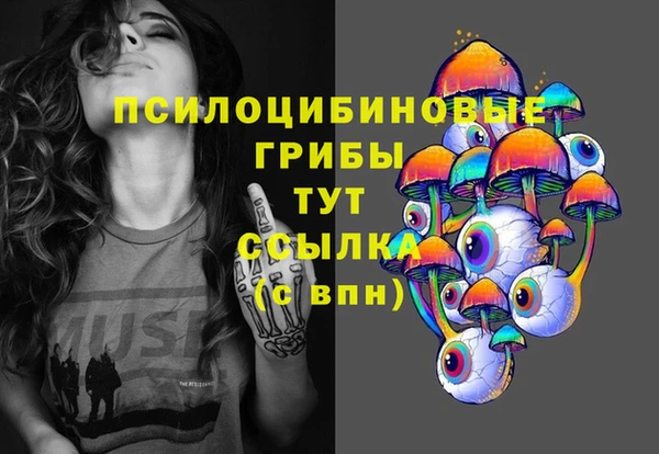 соль ск Ростов