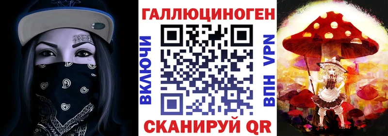 Псилоцибиновые грибы Psilocybe  Калининград 